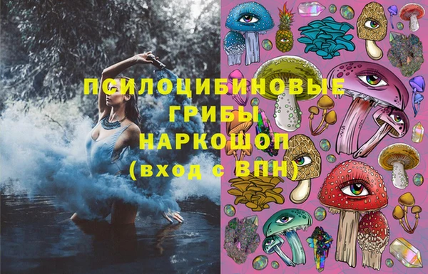 ГАЛЛЮЦИНОГЕННЫЕ ГРИБЫ Наволоки