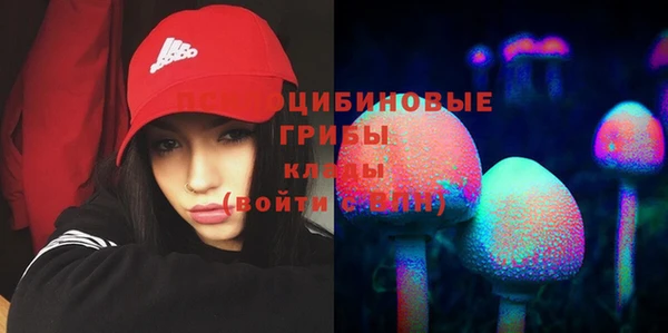 ГАЛЛЮЦИНОГЕННЫЕ ГРИБЫ Наволоки