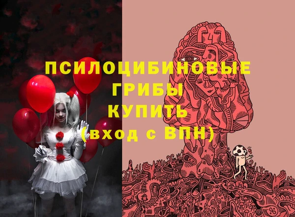 ГАЛЛЮЦИНОГЕННЫЕ ГРИБЫ Наволоки