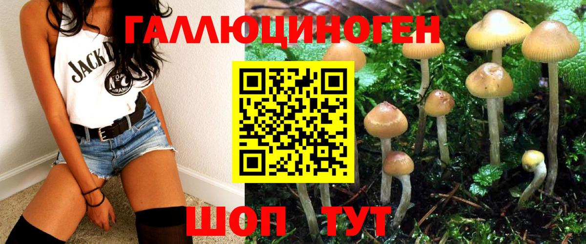 Псилоцибиновые грибы MAGIC MUSHROOMS Балашиха