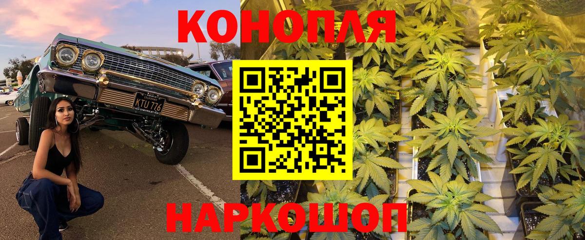 Бошки марихуана White Widow  Канабис планчик  Балашиха 